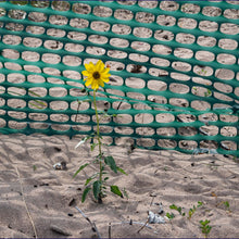 Load image into Gallery viewer, 4x100 ft Green Plastic Fencing Roll - Temporary Netting for Garden
